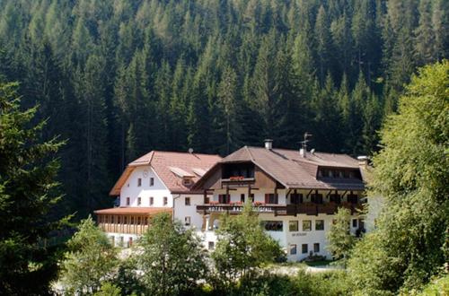 Фотографии гостиницы
Hotel Bad Bergfall