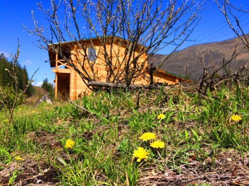 Фотография кемпинга Зеленый Колобок