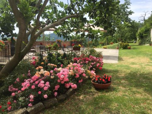 Фотография мини отеля La Cantinetta Resort