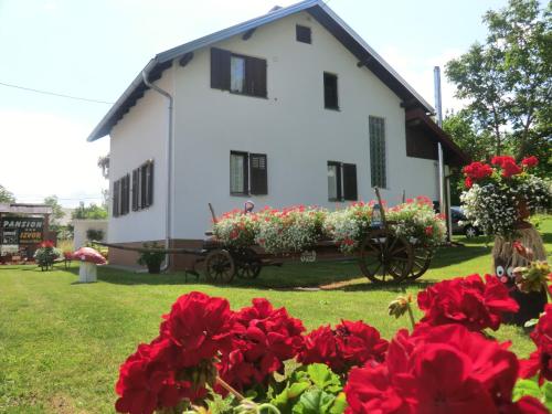 Фотография гостевого дома Pansion Izvor