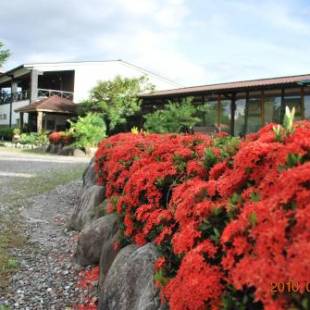 Фотографии мини отеля
Lotus Hostel Beicheng Zhuang