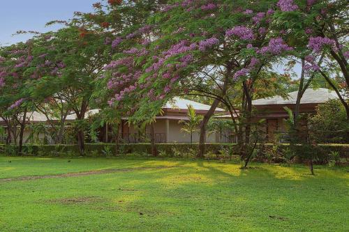 Фотография гостиницы Sinclairs Retreat Dooars, Chalsa