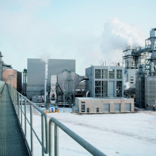 Фотография предприятий Эггер Древпродукт