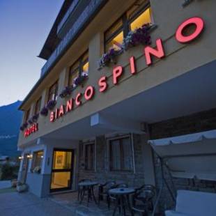 Фотографии гостиницы 
            Hotel Biancospino