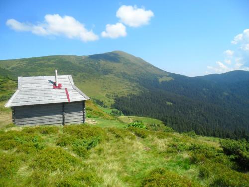 Фотография гостевого дома Азалия