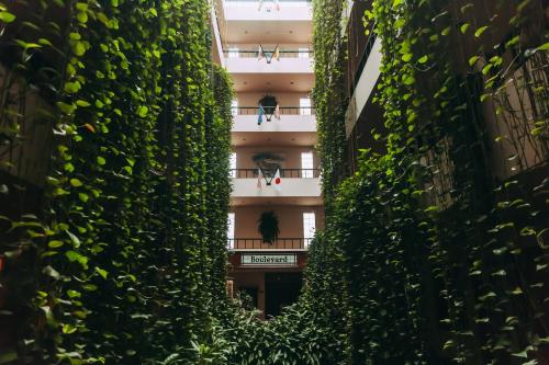 Фотография гостиницы Hotel Boulevard