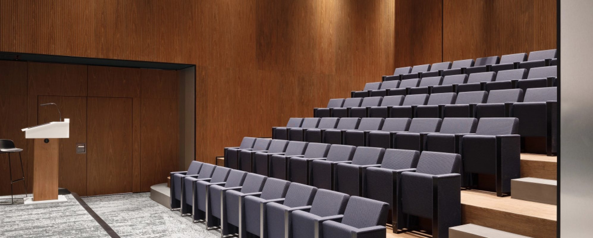 Фотографии конференц-зала Амфитеатр Dion Inn