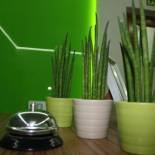 Фотография гостевого дома Hostal La Estación