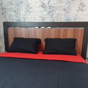 Фотография квартиры Квартира на Быстрова 64