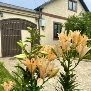 Фотография Коттеджа Частный дом у моря в Дербенте