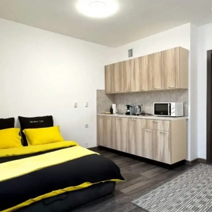 Фотография квартиры Квартира студия двухместная