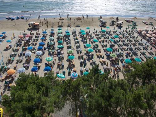 Фотография гостиницы Hotel Benilva