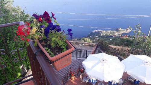 Фотография базы отдыха Nido Degli Dei