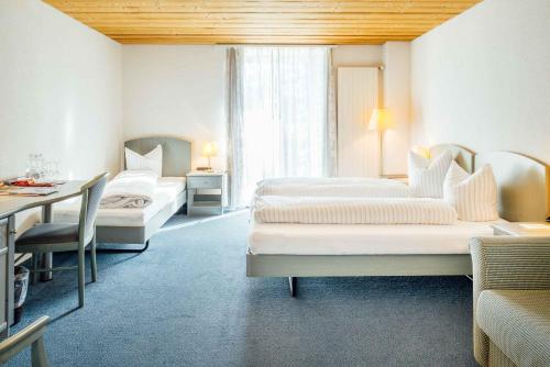 Фотография гостиницы Hotel-Restaurant Bellevue