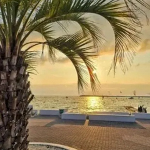 Фотография квартиры Апартаменты Грин Парк 1