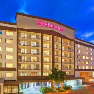 Фотографии гостиницы 
            Sheraton Tampa Riverwalk Hotel