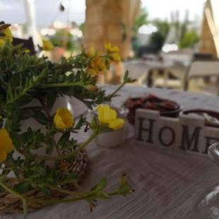 Фотографии мини отеля
Li Brilli