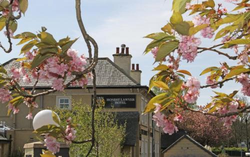 Фотография гостиницы Honest Lawyer Hotel