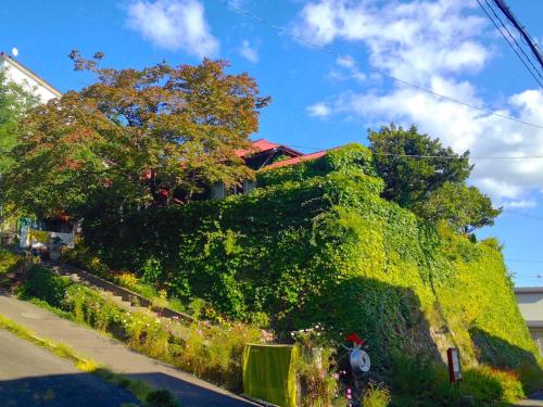 Фотография хостела The Otarunai Backpacker's Hostel Morinoki