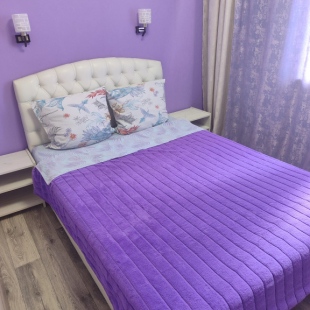 Фотография квартиры Квартира уютная евродвушка