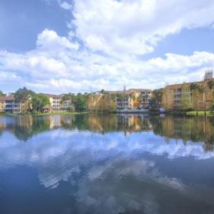 Фотографии гостиницы
Club Wyndham Cypress Palms