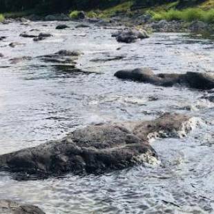 Фотографии гостевого дома
La Louisiane