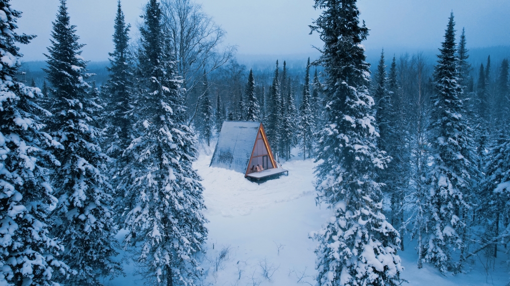 Фотография Коттеджа Шале Vektor_Gesh