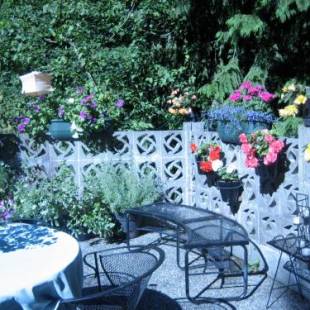 Фотографии мини отеля
Misty Meadows B&B