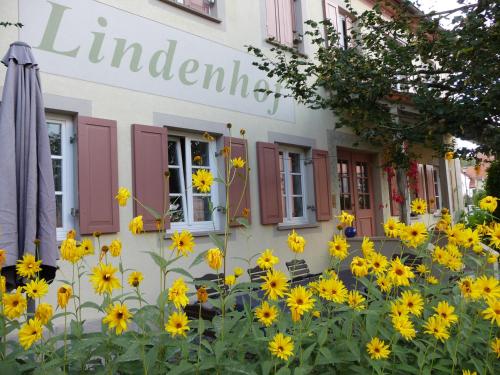 Фотографии гостиницы 
            Hotel garni Lindenhof im Steigerwald