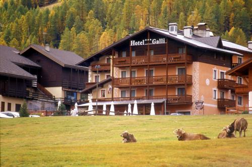 Фотография гостиницы Hotel Galli
