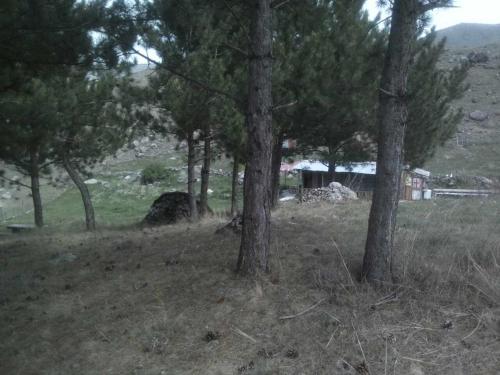 Фотографии гостевого дома 
            guest house"Tsunda"