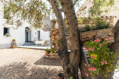 Фотографии мини отеля
Sa Crai B&B - Sardinian Experience