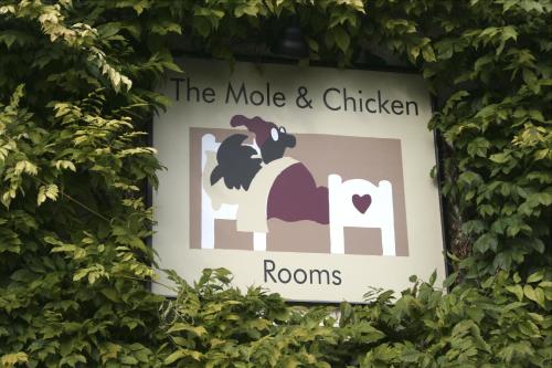 Фотографии гостиницы 
            The Mole and Chicken