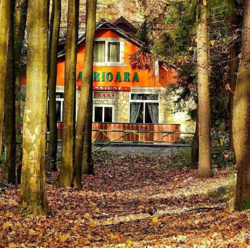 Фотография гостиницы Complex Turistic Caprioara