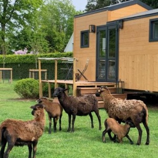 Фотография гостевого дома Joly Tiny House