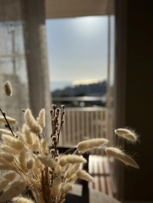 Фотографии квартиры 
            Апартаменты в центре Сочи