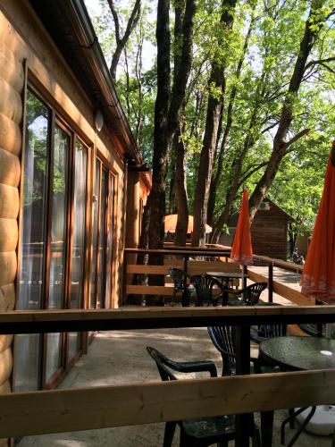 Фотография базы отдыха Морская республика