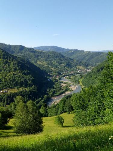 Фотографии гостевого дома
Закарпатский сруб