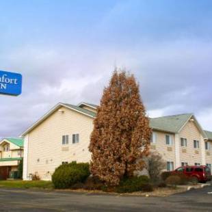 Фотографии гостиницы
Comfort Inn Central University South