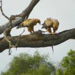 Фотография гостевого дома Inqwaba