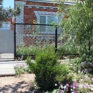 Фотография гостевого дома Отдых у Ольги