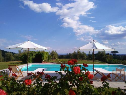 Фотография мини отеля Ca' Bianca