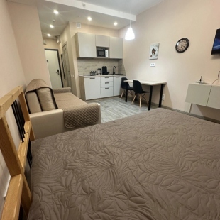 Фотография квартиры Апартаменты 639 на проспекте Витебский 99стр1/1