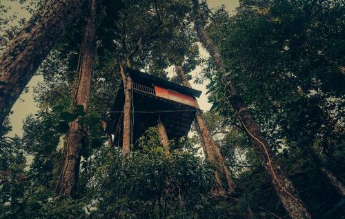 Фотография гостиницы Ela Ecoland Nature Retreat