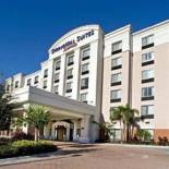 Фотография гостиницы SpringHill Suites by Marriott - Tampa Brandon