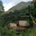 Фотография базы отдыха Miradores Del Oso Perezoso