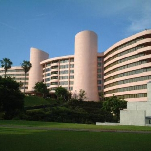 Фотография гостиницы Ibusuki Iwasaki Hotel