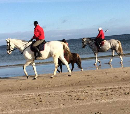 Фотография гостевого дома Ferienhaus Am Küstenwald