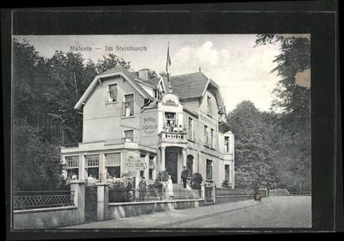 Фотография гостиницы Hotel Villa im Steinbusch