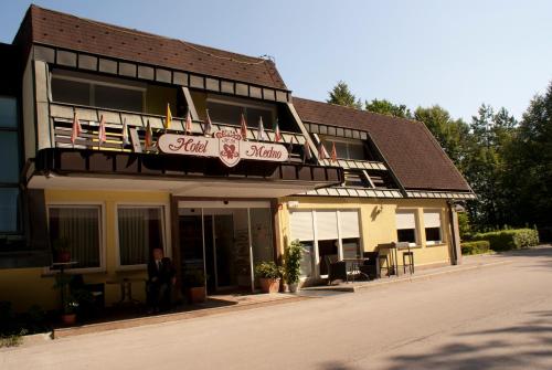 Фотография гостиницы Hotel Medno
